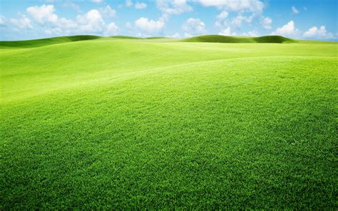 Grass Ground Wallpapers - Wallpaper Cave