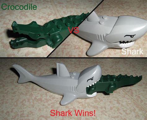 Crocodile Vs Shark by Naomimon-Alpha on DeviantArt