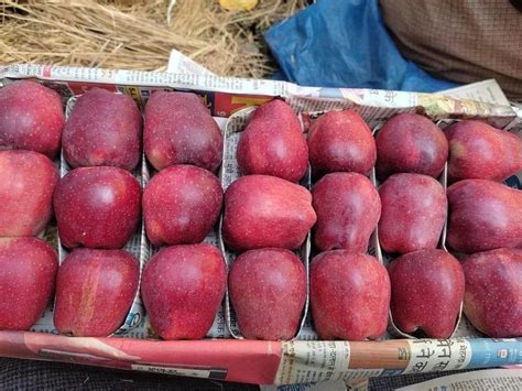 Kashmiri A Grade Fresh Kashmir Apple, Packaging Type: Wood Box, Kasmir ...