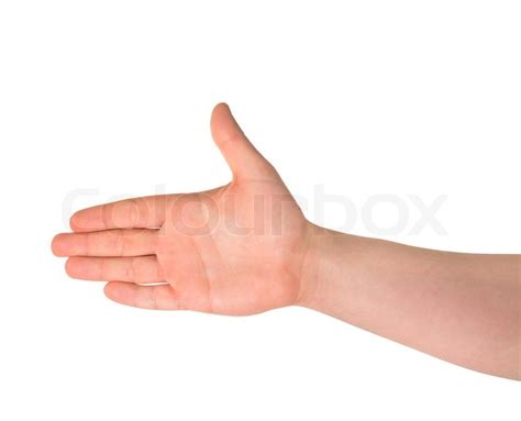 Opened hand palm gesture isolated | Stock Photo | Colourbox