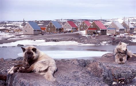 Inside Inuit Homes