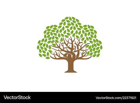 Green creative oak tree logo Royalty Free Vector Image