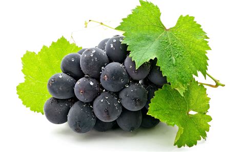 Grapes - Fruit Photo (34733392) - Fanpop