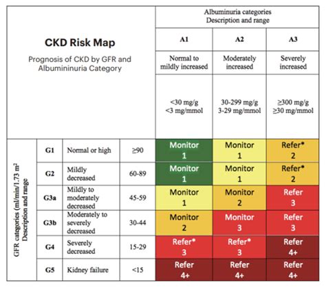 Identifying & Managing Chronic Kidney Disease - Part 1: Understanding ...