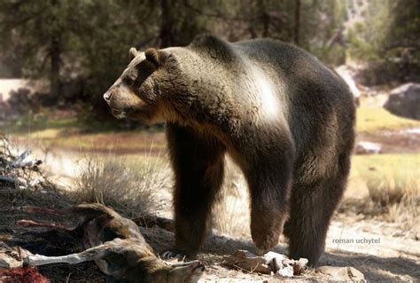 ursos - Pesquisa Google | Short faced bear, Prehistoric wildlife ...