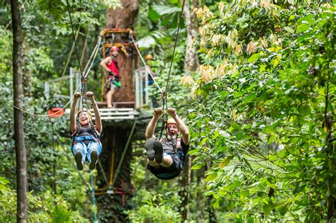 Daintree Rainforest Tours | Jungle Surfing Ziplining Tour | Best Value ...