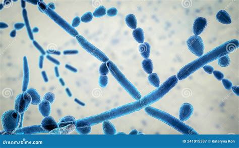 Fungus Trichosporon, 3D Illustration Stock Illustration - Illustration ...