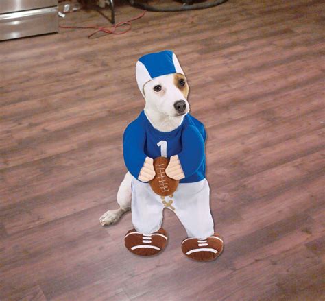 Football Player Dog Costume