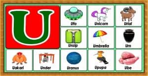 Learn Vocabulary Words That Start With U For Kids - The Soft Roots