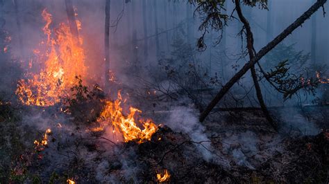 Canadian Wildfires, Bigger Than Ever, Test Foreign Firefighters - The ...