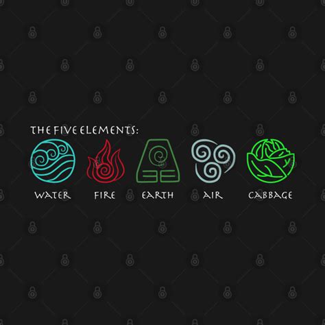 The Five Elements Avatar - Avatar The Last Airbender - T-Shirt | TeePublic