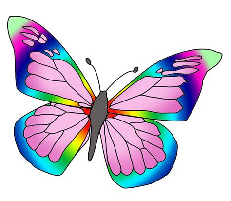 Colorful Butterfly Drawing