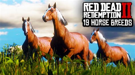 Red Dead Redemption 2 - 19 DIFFERENT HORSE BREEDS IN RDR2! RDR2 HORSES ...