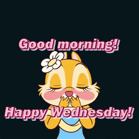 Wednesday Happy Wednesday GIF - Wednesday Happy Wednesday Good Morning ...