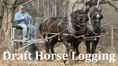 Logging with Draft Horses at Riceland Meadows Farm - YouTube