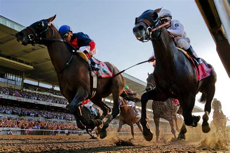 The Ultimate Guide to Horse Racing Betting