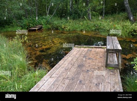 Unique radon-hydrogen sulfide sources of Mshenskie springs. Tver region ...