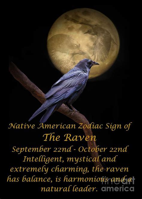 The Native American Zodiac Sign Of The Raven Photograph by Stephanie Laird