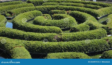 Aerial View of Greenery Hedge Maze Surrounded by Water Stock Photo ...