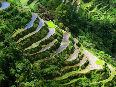 Banaue Rice Terraces | Banaue rice terraces, Banaue, Rice terraces