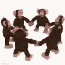 Monkey Circle Spinning Sticker - Monkey Circle Spinning Monkey ...