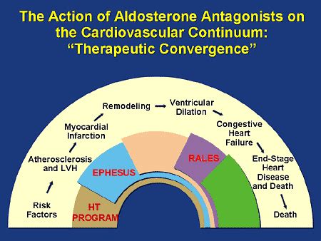 Aldosterone Antagonists on