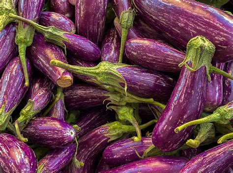 10 Types of Eggplant to Know, Love, Grill, and Sauté With | Bon Appétit