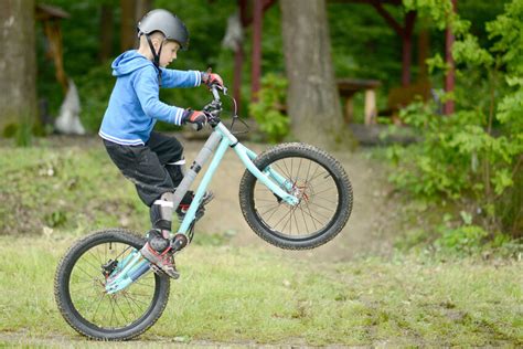 Top 10 Boys' BMX Bikes | eBay