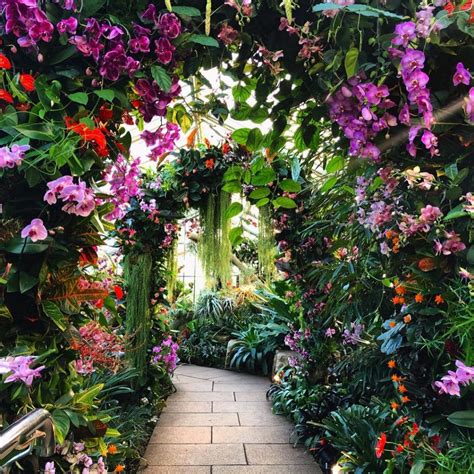 Orchid Festival At Kew Gardens: Just 14 Colourful Pictures