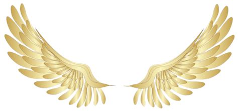 Pin by Uriah Young on ACKANFLA | Wings png, Wings drawing, Golden wings