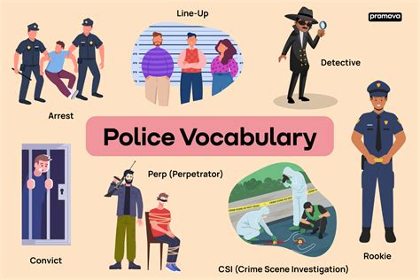 Police Terminology List With Definitions