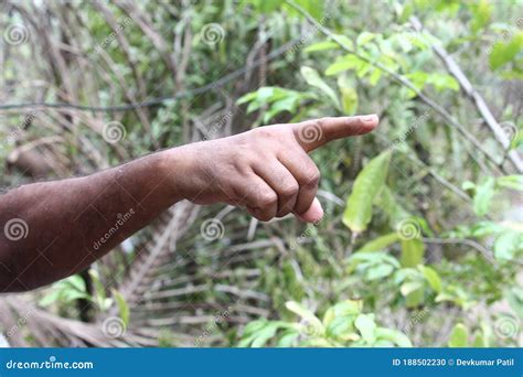 Showing Direction Hand Gesture Image Stock Photo - Image of direction ...