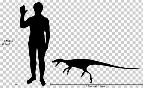 Staurikosaurus Thescelosaurus Microraptor Deinonychus Dilophosaurus PNG ...