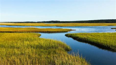 HD wallpaper: salt marsh, cape cod, ocean, massachusetts, nature, water ...