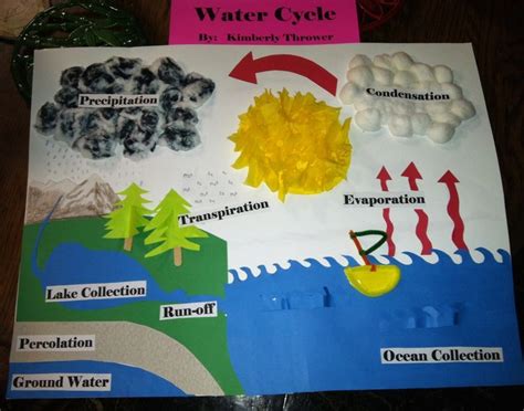 Water cycle, Water cycle poster, Water cycle project