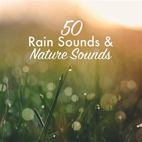 Play 50 Rain Sounds & Nature Sounds by Rain Sounds & Nature Sounds on ...