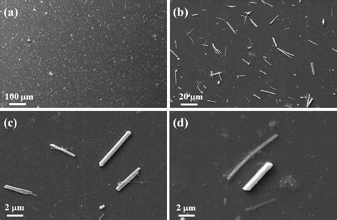 Scanning Electron micrographs of the nanorods with (a) 100 X ...