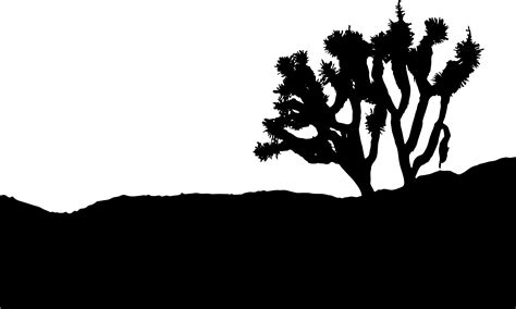 Joshua Tree National Park High Desert Morongo Basin - tree silhouette ...