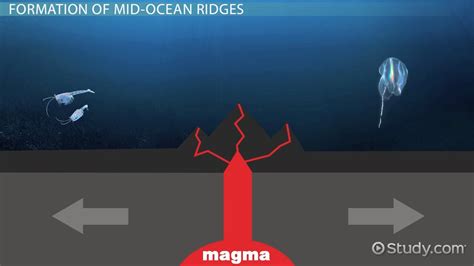 What Best Describes the Mid Ocean Ridges