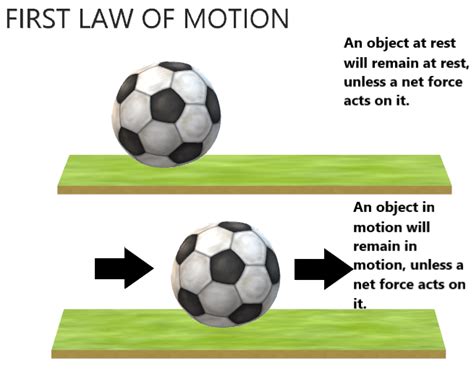 Newtons First Law Of Motion Infographic Diagram With Examples Of Stone ...