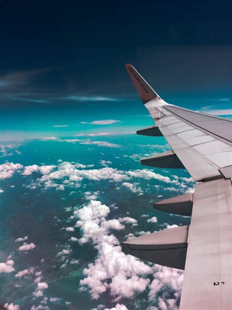 Unpacking the Fear of Flying: How You Can Overcome It | Cognitive Healing