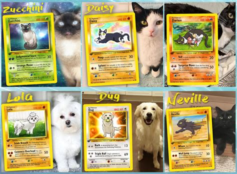 Your Pet as a Pokemon Card - Etsy