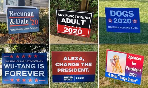 Americans campaign for pets, 'any functioning adult,' and even Joe ...