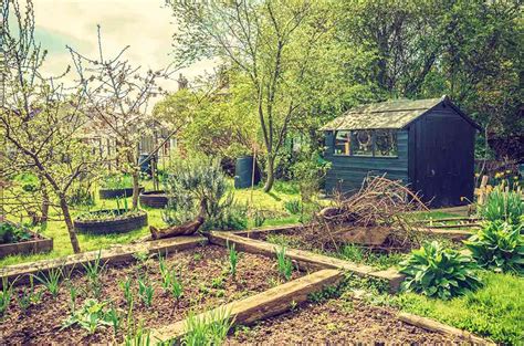 Allotment Ideas in 2024 - Sowing the Seeds of Inspiration | Checkatrade