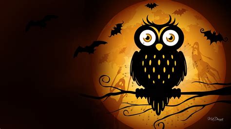 🔥 [50+] Halloween Owl Wallpapers | WallpaperSafari