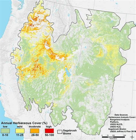 Don't Get Cheated By Invasive Grasses | Working Lands For Wildlife