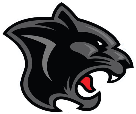 Panther PNG Transparent Images