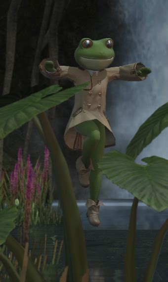 Froge | Eorzea Collection