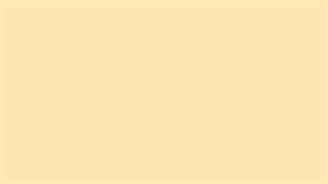 Peach Pastel Color Background Plain - angrylittlebunnyofdoom