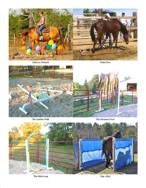 Obstacle Course Ideas For Horses